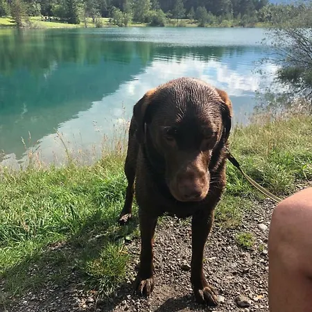 Stablblick * Haeselgehr